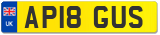 AP18 GUS