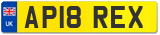 AP18 REX