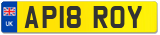 AP18 ROY