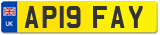 AP19 FAY