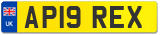 AP19 REX