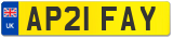 AP21 FAY