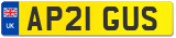 AP21 GUS