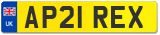 AP21 REX