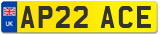 AP22 ACE