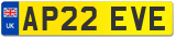 AP22 EVE