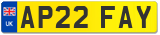 AP22 FAY