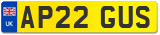 AP22 GUS