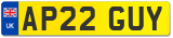 AP22 GUY