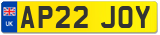 AP22 JOY