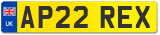 AP22 REX