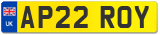 AP22 ROY