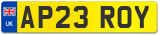 AP23 ROY