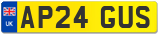 AP24 GUS