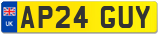 AP24 GUY