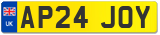 AP24 JOY