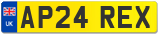 AP24 REX