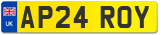 AP24 ROY