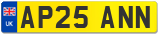 AP25 ANN