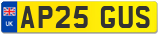 AP25 GUS