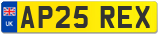 AP25 REX