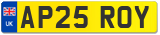 AP25 ROY