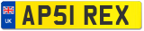 AP51 REX