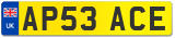 AP53 ACE