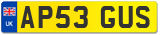 AP53 GUS