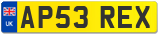 AP53 REX