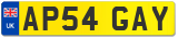 AP54 GAY