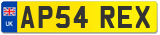 AP54 REX