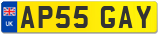 AP55 GAY