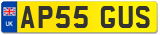 AP55 GUS