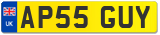 AP55 GUY