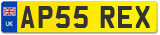 AP55 REX