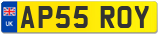 AP55 ROY