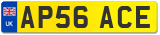 AP56 ACE