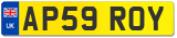 AP59 ROY