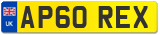 AP60 REX
