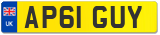 AP61 GUY