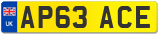 AP63 ACE