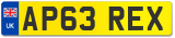 AP63 REX