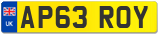 AP63 ROY