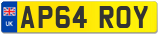 AP64 ROY