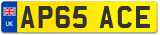 AP65 ACE