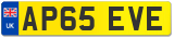 AP65 EVE