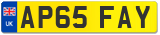 AP65 FAY