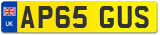 AP65 GUS