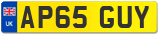 AP65 GUY